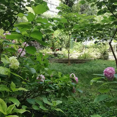 Apartment Vracar Krunska Jamiva
