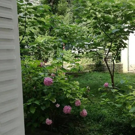 Vracar Krunska Jamiva * Belgrado