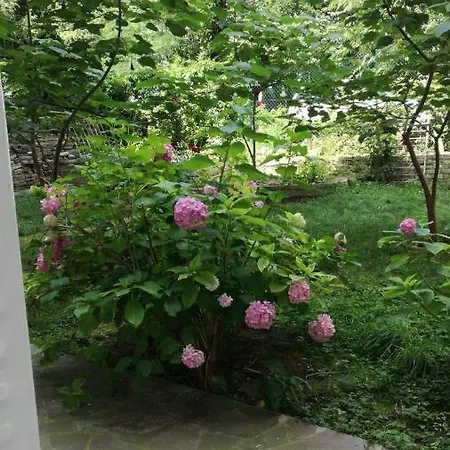 Apartment Vracar Krunska Jamiva