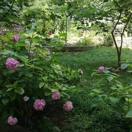 Vracar Krunska Jamiva * Belgrado